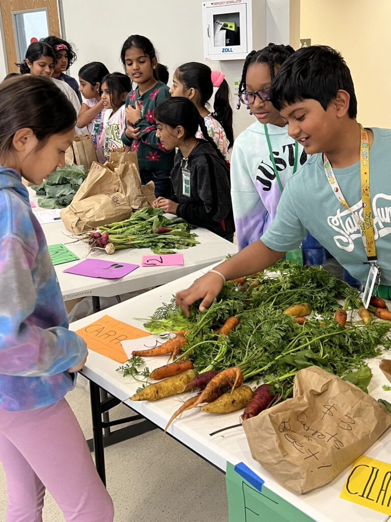 Selling garden harvest at the farmers market operated by learners at school