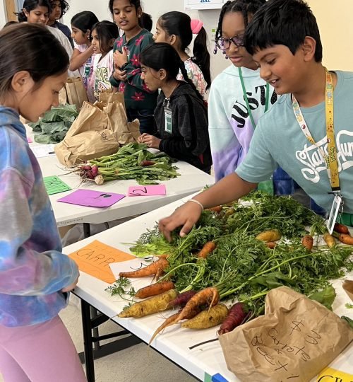 Selling garden harvest at the farmers market operated by learners at school